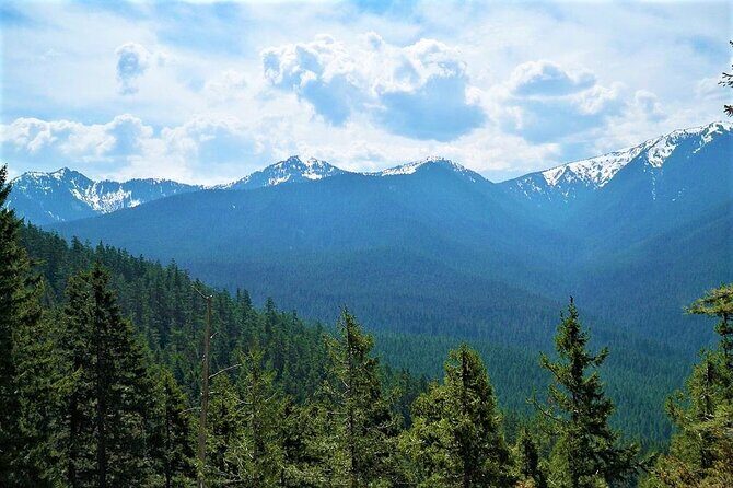 Mexico City Hike: Conquer the Ajusco National Park - Who Will Love This Tour?