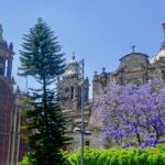 Mexico City History Tour with a Local Expert: 100% Personalized & Private - The Value in the Details: Price and What You Get