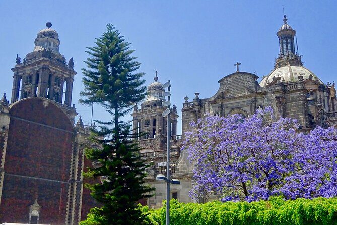 Mexico City History Tour with a Local Expert: 100% Personalized & Private - The Value in the Details: Price and What You Get