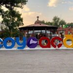 Mexico City Layover Tour Art, Culture and Color - Who Would Love This Tour?