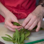 Mexico City: Mexican Cooking Class - What to Expect from the Mexican Cooking Class