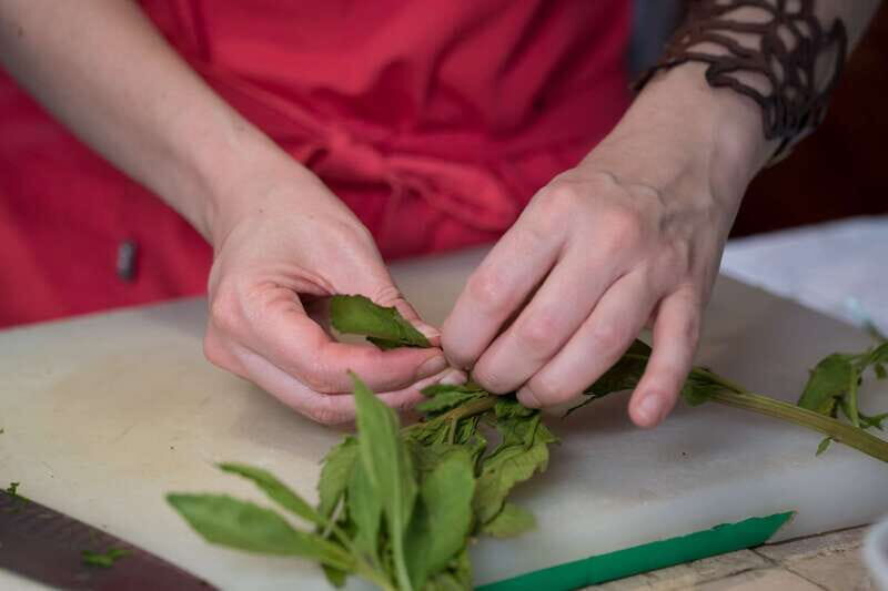 Mexico City: Mexican Cooking Class - What to Expect from the Mexican Cooking Class