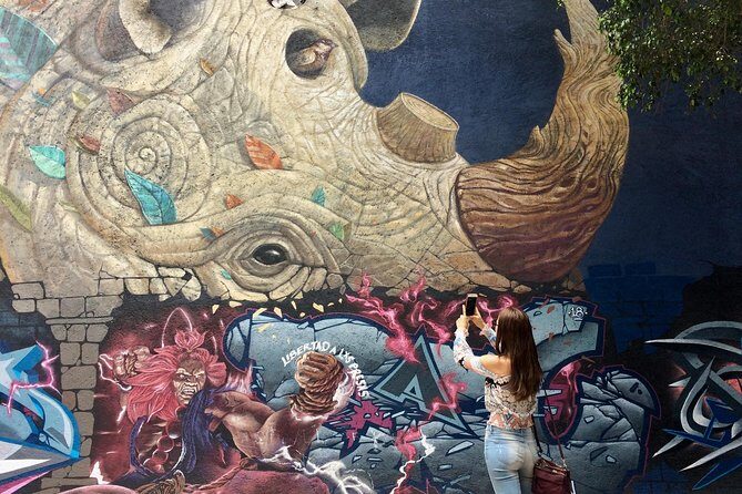 Mexico City Private Street Art Tour - The Art: Murals, Artists, and Stories