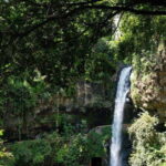 Mexico City: Raft to Rushing Waters and Visit Cuernavaca - What to Know Before Booking