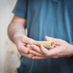 Mexico City Street Food: A Beginner's Guide - Who Should Consider This Tour?