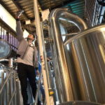 Mexico City Tasting Tour and Craft Beer Experience - What to Expect During the Tour