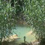 Mexico City: Taxco Thousand Waterfalls - Natural Water Park - The Journey to Thousand Waterfalls: What’s It Like?