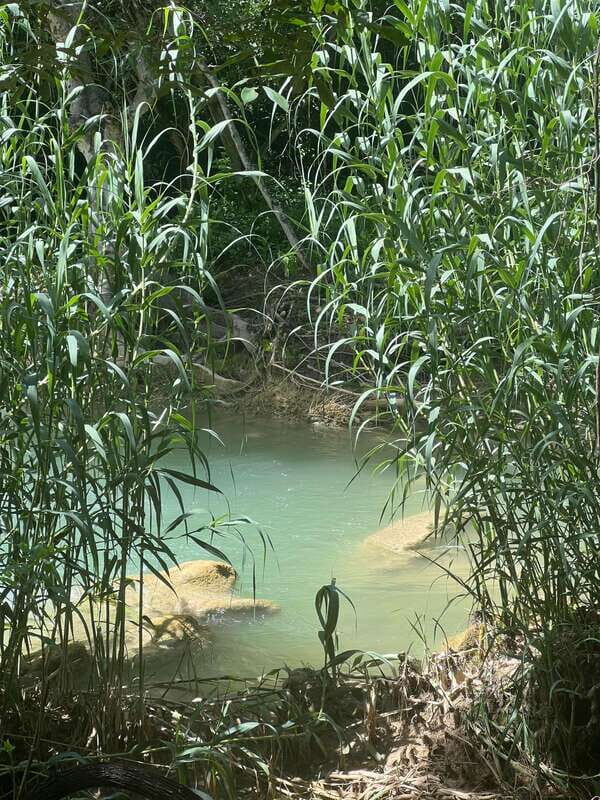 Mexico City: Taxco Thousand Waterfalls - Natural Water Park - The Journey to Thousand Waterfalls: What’s It Like?