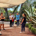 Mexico City: Teotihuacan, Tlatelolco & Basilica of Guadalupe - What the Reviews Tell Us