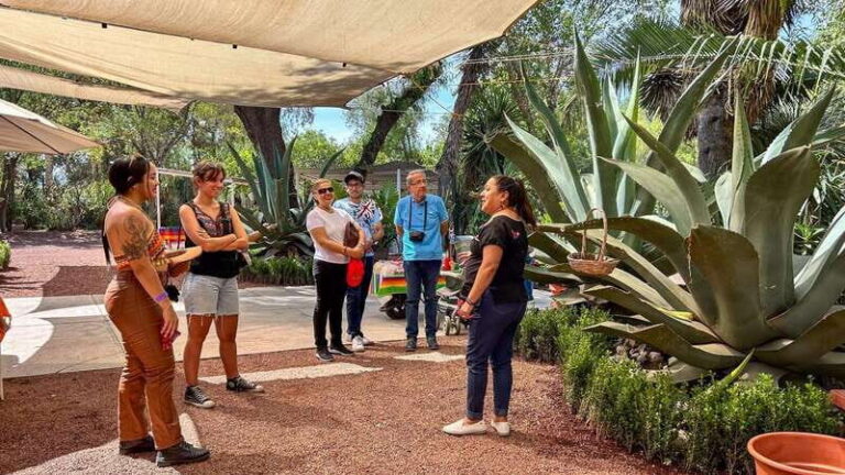 Mexico City: Teotihuacan, Tlatelolco & Basilica of Guadalupe - What the Reviews Tell Us