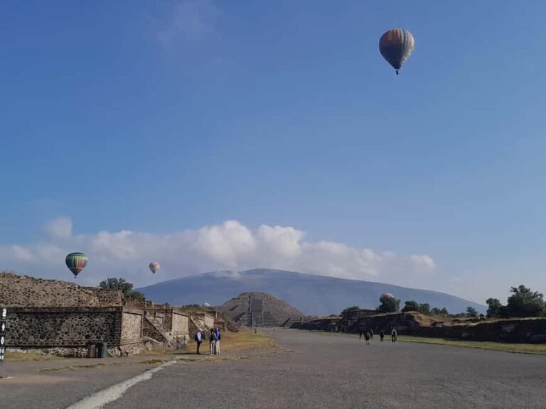 Mexico City: Teotihuacan Tour & Vegan/Veggie homemade Lunch - What Makes This Tour Stand Out?