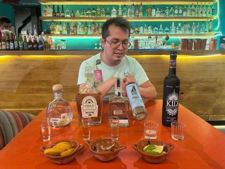 Mexico City: Tequila and Mezcal Museum Tour with Tasting - Who Should Consider This Tour?