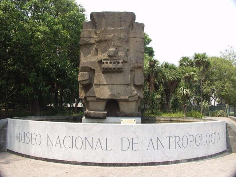 Mexico City tour & Anthropology Museum Tour - The Beauty of the Anthropology Museum