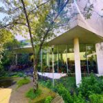 Mexico City: UNAM Campus walking Tour with Guide - Authentic Traveler Insights