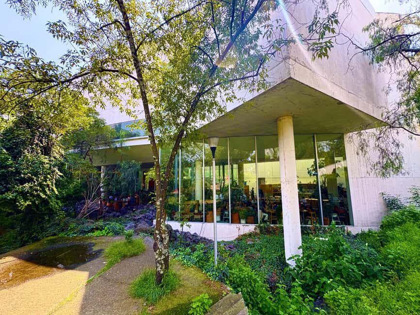 Mexico City: UNAM Campus walking Tour with Guide - Authentic Traveler Insights