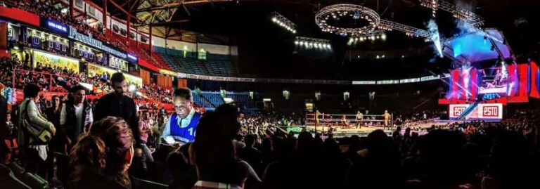 Mexico City: Wrestling Show and Liquor Tasting - What’s Included and What You Should Expect