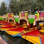 Mexico City: Xochimilco All-Included Boat Party Tour - Practical Tips