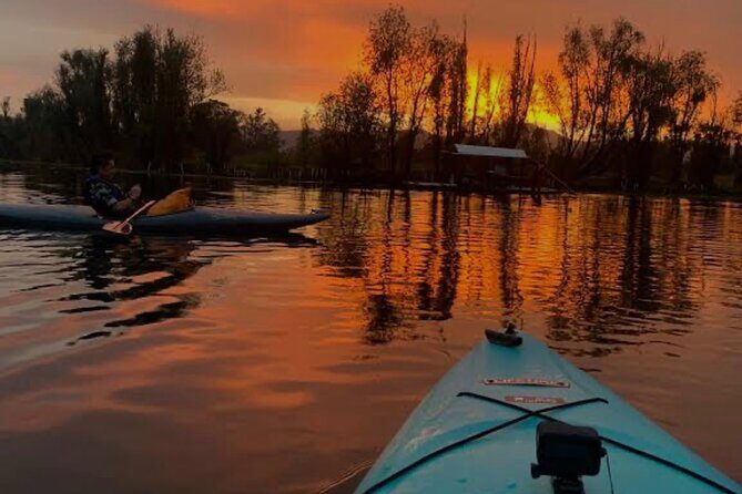 Mexico City: Xochimilco at sunrise + Breakfast and transportation - Price and Value: Is It Worth It?