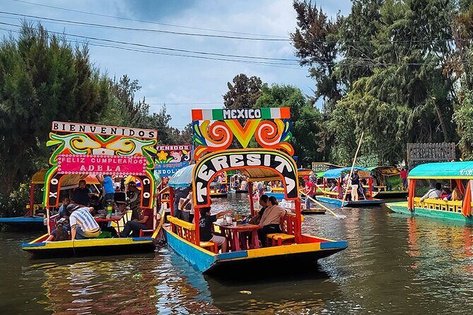 Mexico City: Xochimilco, Coyoacán and University City Tour - Transportation, Duration, and Group Size