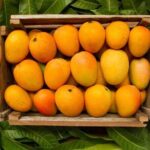 Mexico's Tropical Fruit Guided Tasting in Mexico City - Who Should Consider This Tour?