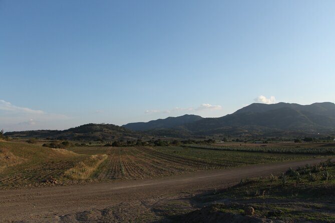 Mezcal Culture Cycling Tour in a Zapotec Village - What Travelers Are Saying