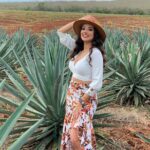 Mezcal Food Tasting Tour with Lunch Included - Frequently Asked Questions