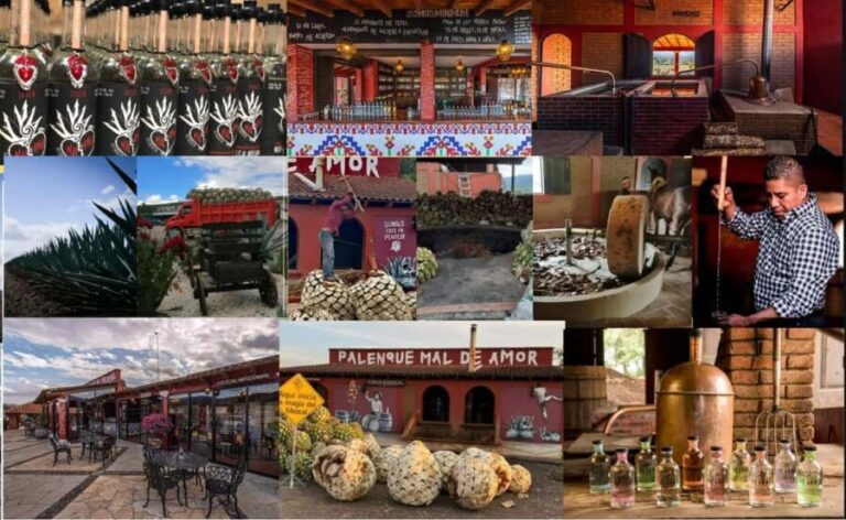 Mezcal Oaxaca: Tour, Gastronomy and Mezcal Tasting - Frequently Asked Questions