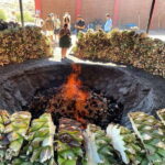 Mezcal Tour Oaxaca - The Experience From a Traveler’s Perspective
