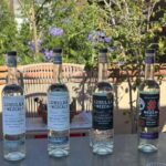 Mezcales tradicionales: Experiencia de Sabores con Historia - The value of the experience