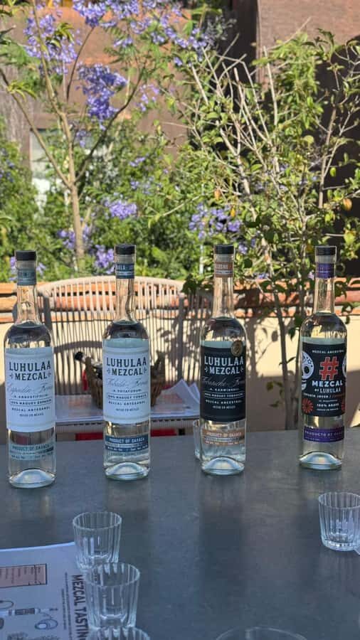 Mezcales tradicionales: Experiencia de Sabores con Historia - The value of the experience