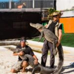 Miami Beach: Everglades Airboat Tours and Rides - Transportation and Logistics