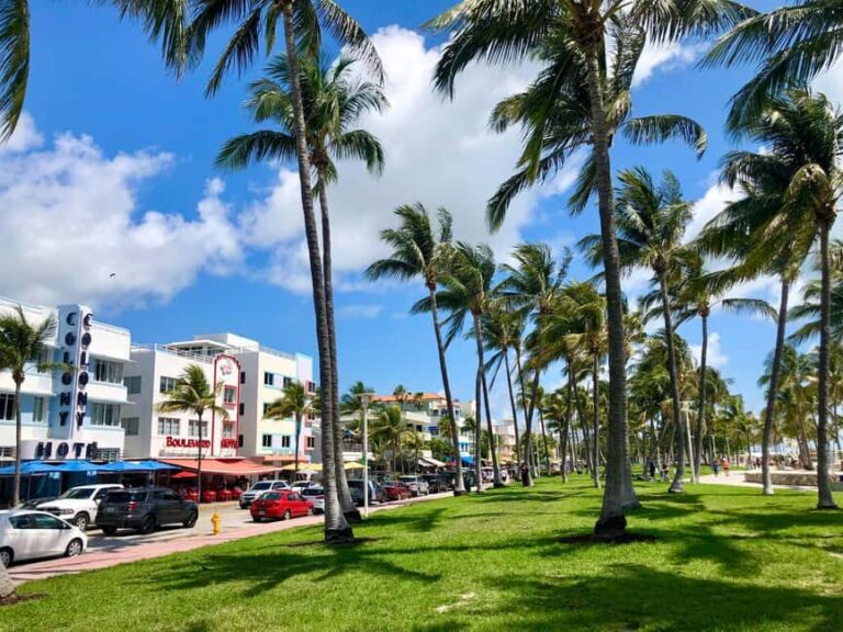 Miami Beach: Guided Tour with Expert Local Guide - Who Should Consider This Tour?