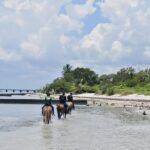 Miami: Beach Horse Ride & Nature Trail - Who Is This Tour Best For?