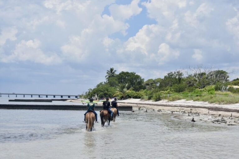 Miami: Beach Horse Ride & Nature Trail - Who Is This Tour Best For?