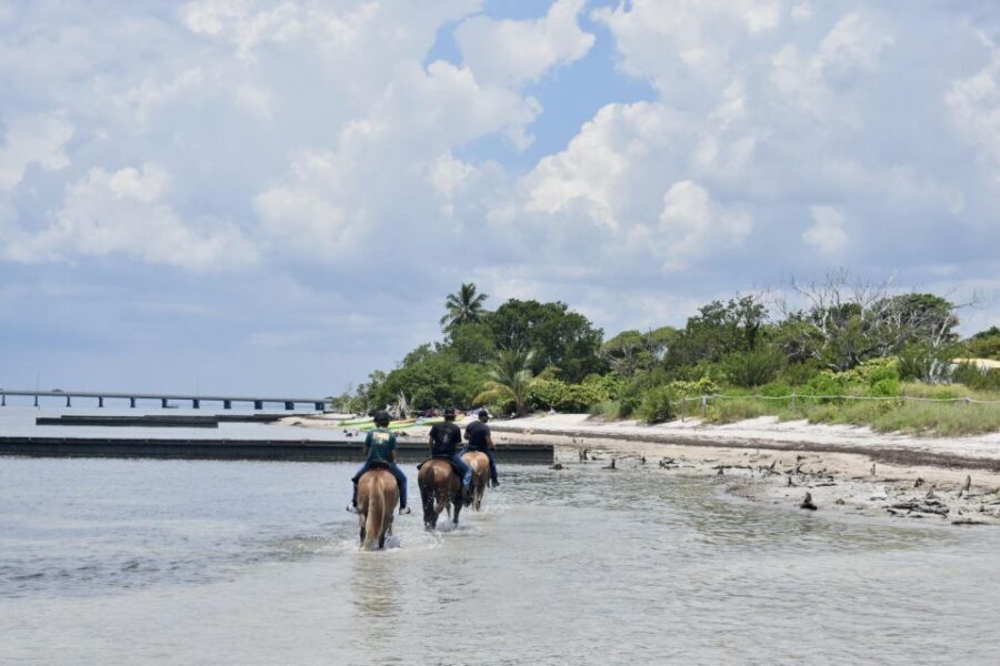 Miami: Beach Horse Ride & Nature Trail - Who Is This Tour Best For?