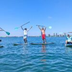 Miami Biscayne Bay Sunset Paddle - Who Should Consider This Tour?