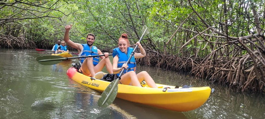 Miami: Biscayne Bay Ultimate Boat Tour with Kayak Experience - The Value of This Tour