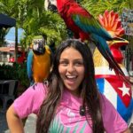 Miami Bus Tour - Flamingo Bus Miami Tours Open-Air Trolley - Authentic Traveler Experiences