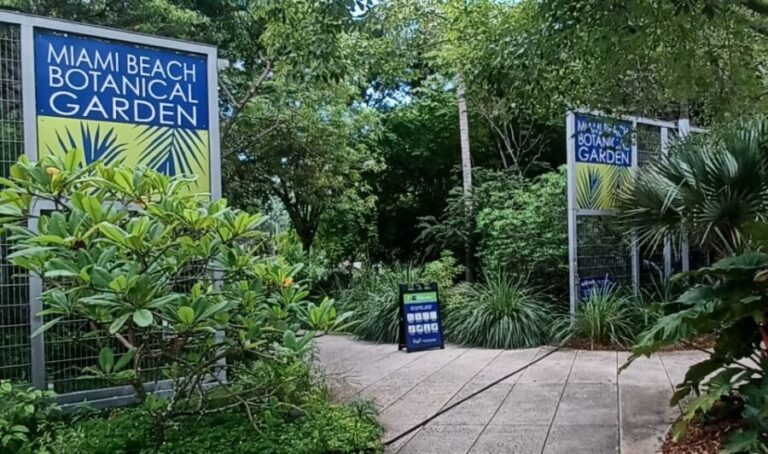 Miami: City Tour & Cruise of Biscayne Bay - What Travelers Are Saying