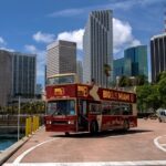 Miami Combo: Open-top Bus Tour and Sightseeing Bay Cruise - The Experience of the Bus Tour