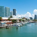 Miami Day or Night /Celebration - What You’ll Love About This Tour