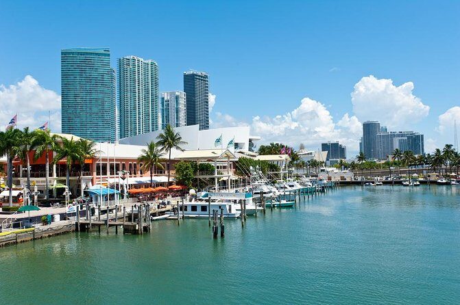 Miami Day or Night /Celebration - What You’ll Love About This Tour