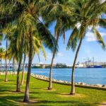 Miami Downtown Highlights Private Guided Walking Tour - What Makes This Tour Stand Out?