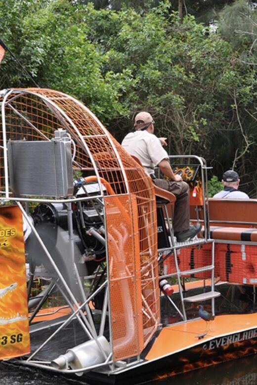 Miami: Everglades Airboat Ride and Tram Tour - Wildlife & Nature Viewing on the Tram