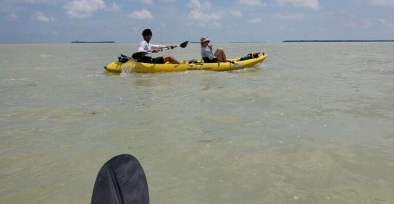Miami: Everglades National Park Hiking and Kayaking Day Trip - What Travelers Say