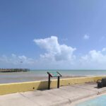 Miami: Full-day tour of the Keys in a convertible Mustang in French - FAQ