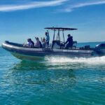 Miami: Guided Small Group Boat Tour + Iconic Stiltsville - The Experience and Practical Details