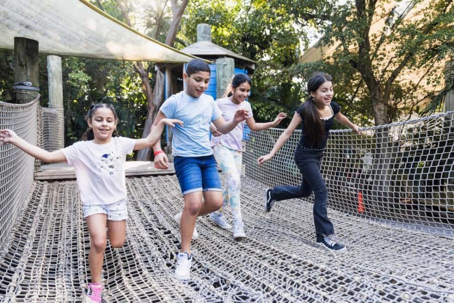 Miami: Jungle Island General Admission - The Experience: Balancing Highlights and Limitations