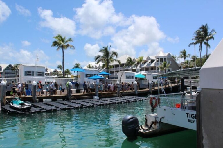Miami: Key West Boat Tour w/ Optional Snorkeling & Open Bar - Whats Included and Whats Not