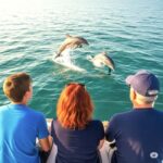 Miami: Key West Dolphin Watch or Snorkel Boat with pickup - What to Expect from the Transportation and Timing